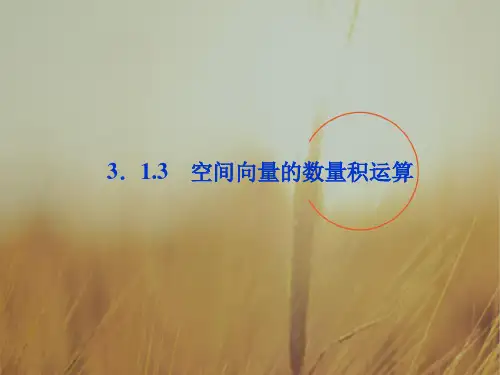 最新-2018高中数学 第3章313空间向量的数量积运算课件 新人教A版选修2-1 精品 