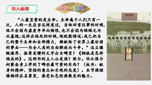 部编版八年级语文下册名著导读《钢铁是怎样炼成的》阅读课件(共86张ppt)