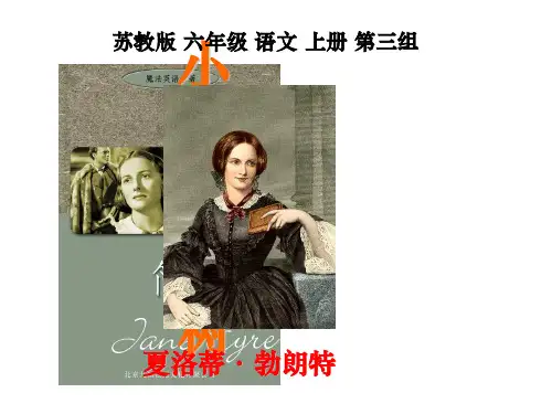 9小草和大树PPT课件