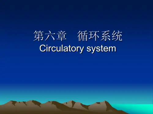 人体解剖学循环系统