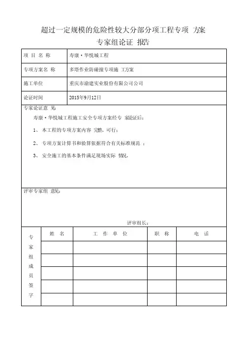 专家论证报告（范本）