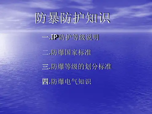 石化防爆防护等级