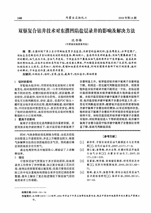 双驱复合钻井技术对东濮凹陷盐层录井的影响及解决方法