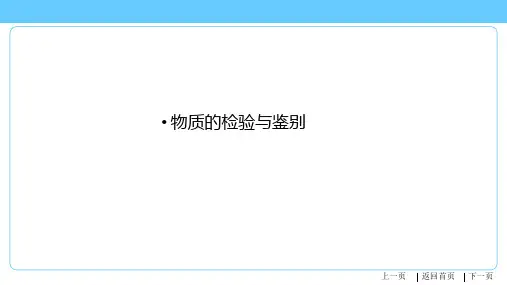 2021年中考化学总复习专题二  物质的检验与鉴别
