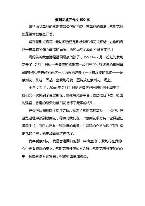 紫荆花盛开作文600字
