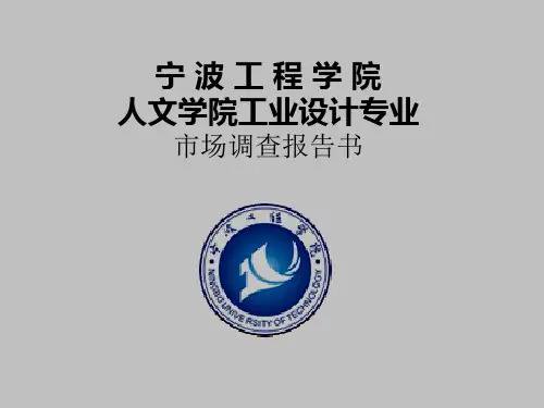 拖把市场调查报告PPT