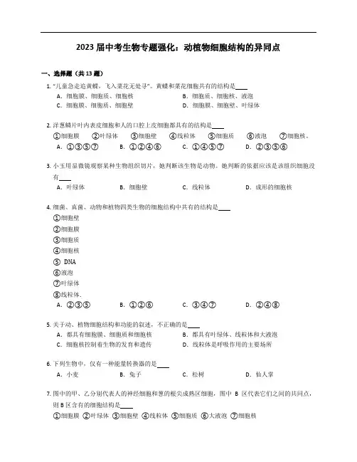 2023届中考生物专题强化训练：动植物细胞结构的异同点(含答案)
