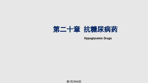 糖尿病药PPT课件