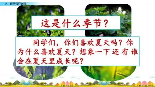六年级上册语文课件-15 夏天里的成长人教(部编版) (共60张PPT)