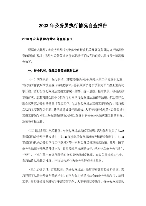 2023年公务员执行情况自查报告