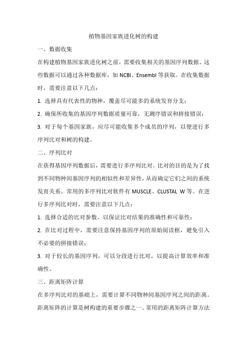 植物基因家族进化树的构建