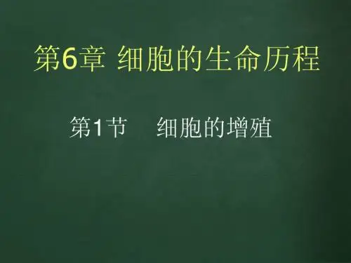 6.1细胞的增殖1