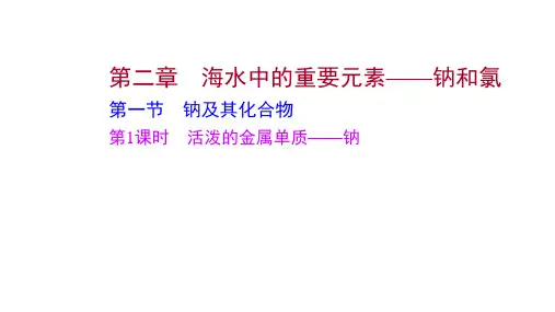 活泼的金属单质——钠课件高一化学人教版必修第一册
