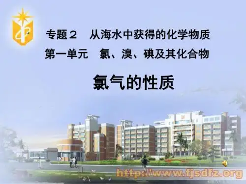 【高中化学】氯气的性质PPT课件1