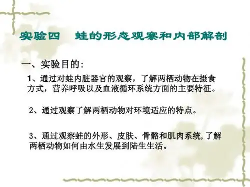 实验四  蛙的形态观察和内部解剖