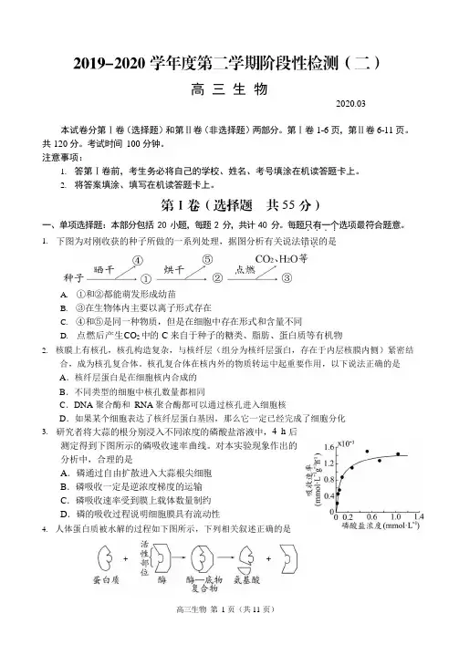 江苏省扬州市2020届高三下学期阶段性检测(二)生物 含答案