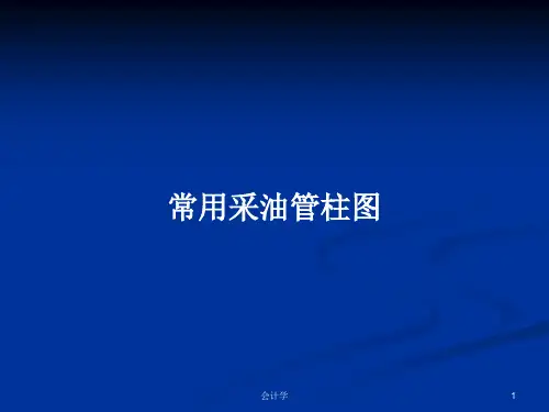 常用采油管柱图PPT教案