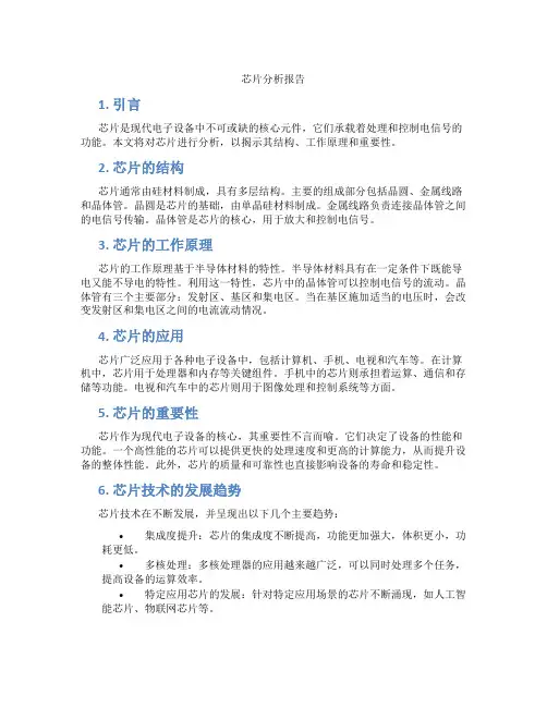 芯片分析报告