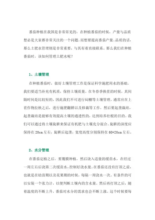 番茄种植的土肥水管理技术