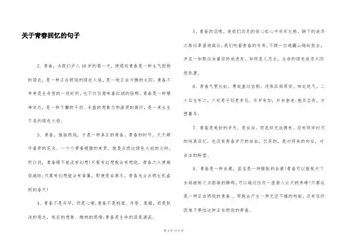 关于青春回忆的句子