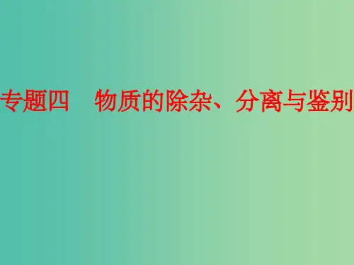 中考化学二轮复习 专题突破强化训练 专题四 物质的除杂、分离与鉴别 鲁教版