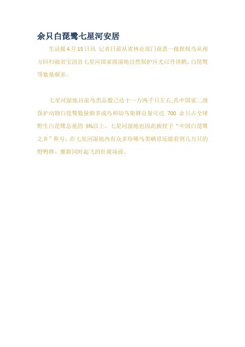 余只白琵鹭七星河安居