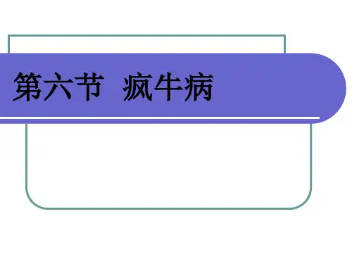 第六节疯牛病案例