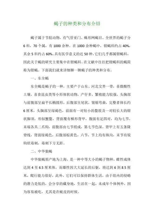 蝎子的种类和分布介绍