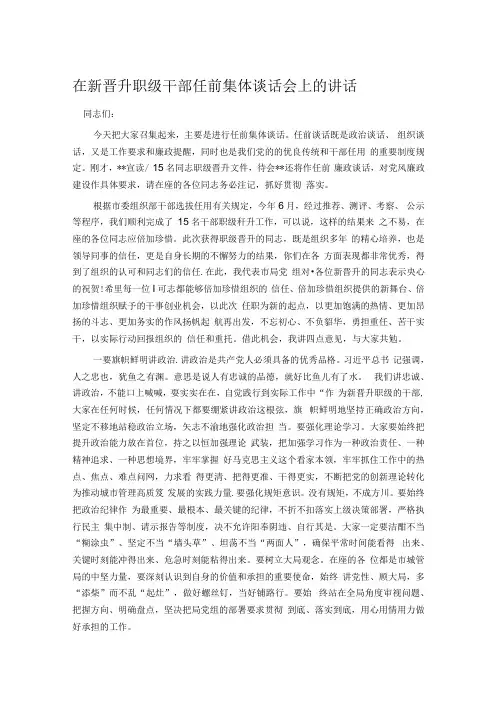 在新晋升职级干部任前集体谈话会上的讲话.docx