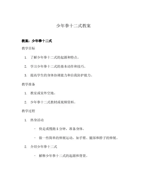 少年拳十二式教案