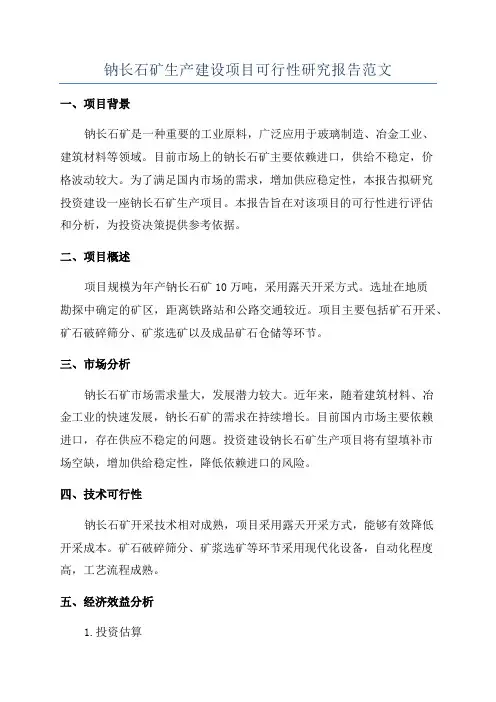钠长石矿生产建设项目可行性研究报告范文
