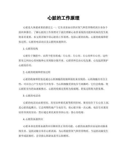 心脏的工作原理