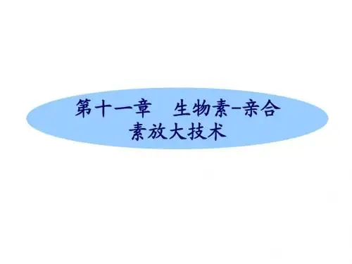 生物素-亲合素放大技术
