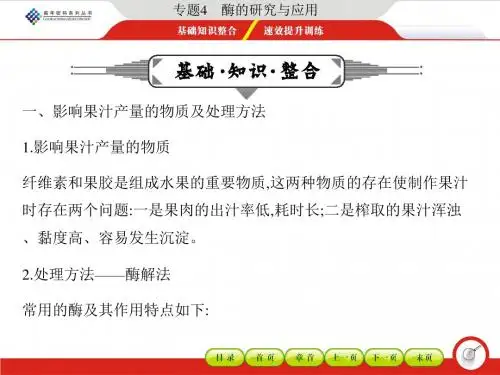 专题4 酶的研究与应用 (54张PPT)