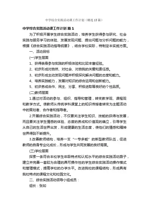 中学综合实践活动课工作计划（精选15篇）