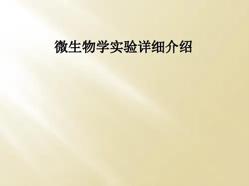 微生物学实验详细介绍