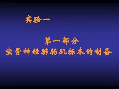 实验一 坐骨神经腓肠肌标本的制备 骨骼肌收缩PPT演示课件