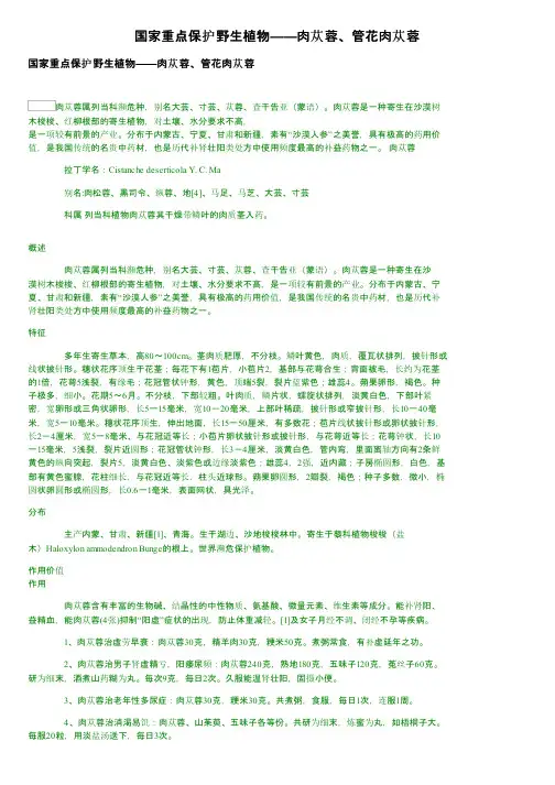国家重点保护野生植物——肉苁蓉、管花肉苁蓉
