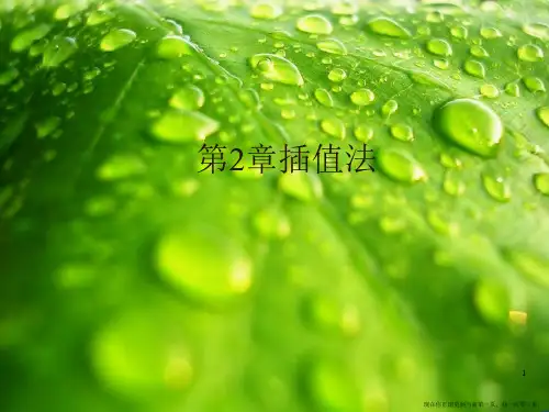 第2章插值法