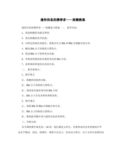 遗传信息的携带者——核酸教案