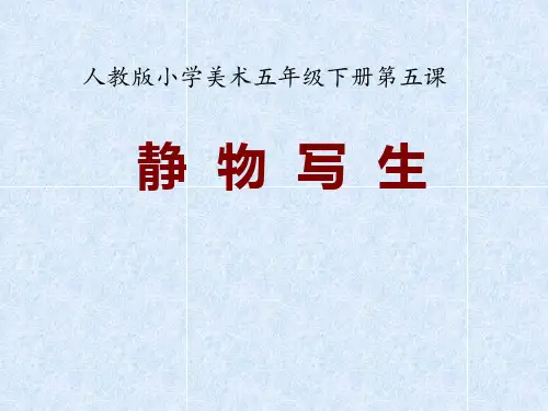 五年级下册美术《第5课 静物写生》(1) 人教版