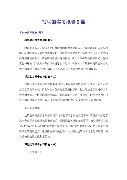 写生的实习报告5篇
