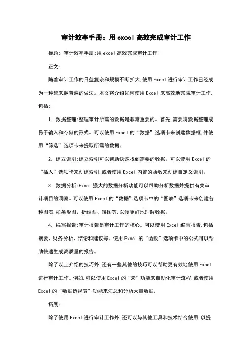 审计效率手册：用excel高效完成审计工作