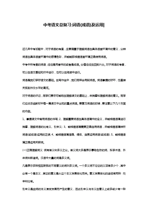 中考语文总复习-词语(成语)及运用-