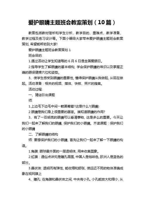 爱护眼睛主题班会教案策划(10篇)