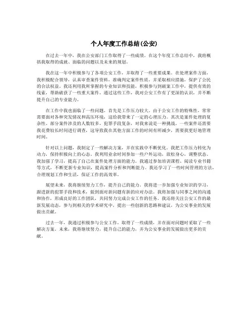个人年度工作总结(公安)