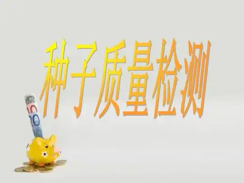 种子质量检测