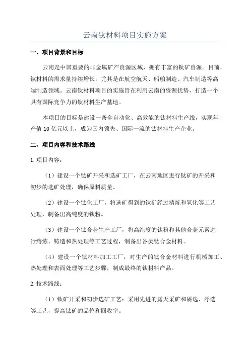 云南钛材料项目实施方案