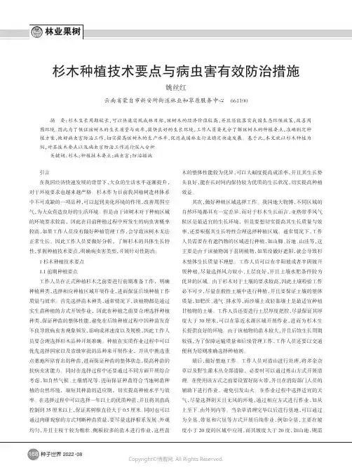 杉木种植技术要点与病虫害有效防治措施