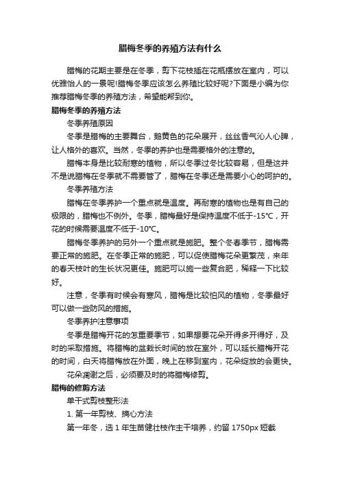 腊梅冬季的养殖方法有什么